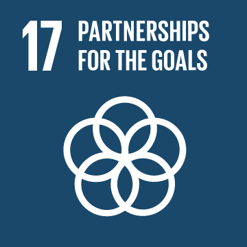 THE SUSTAINABLE DEVELOPMENT GOALS WE ARE CONTRIBUTING TO 16